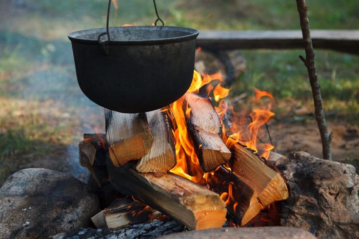 How to cook wild meat trini style